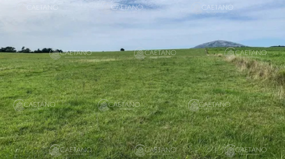 Pan de Azucar - GoPunta - Portal Inmobiliario de Punta del Este - Maldonado