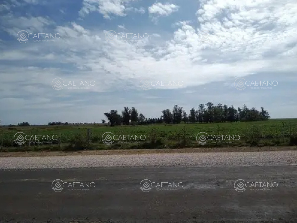 Zona Rural - GoPunta - Portal Inmobiliario de Punta del Este - Maldonado