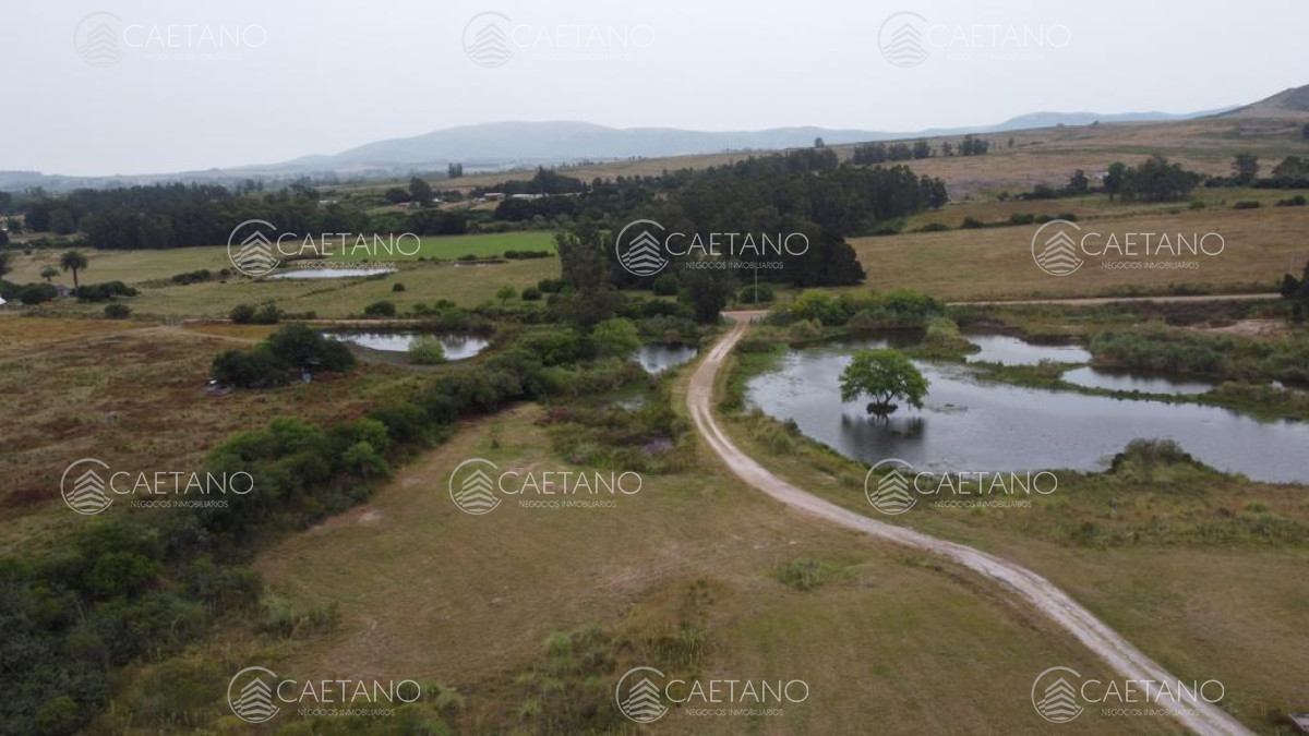 Pan de Azucar - GoPunta - Portal Inmobiliario de Punta del Este - Maldonado