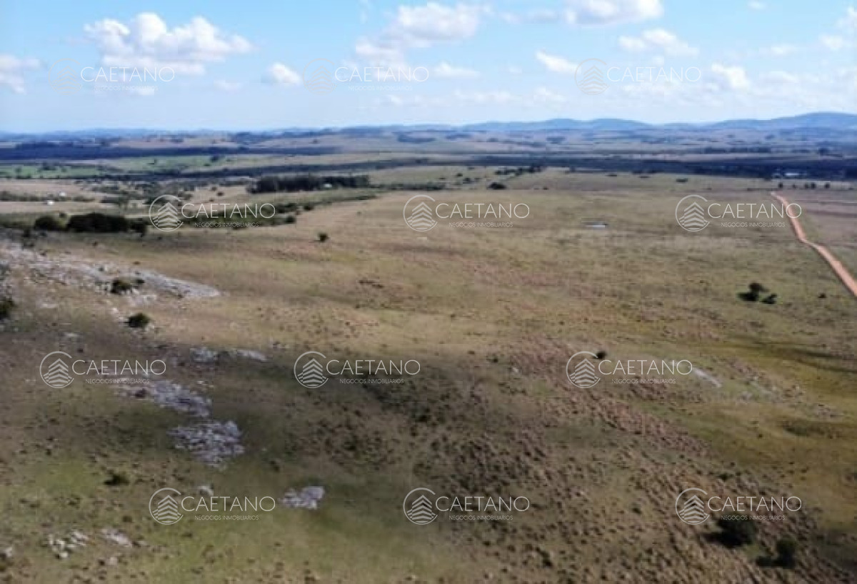 Zona Rural - GoPunta - Portal Inmobiliario de Punta del Este - Maldonado