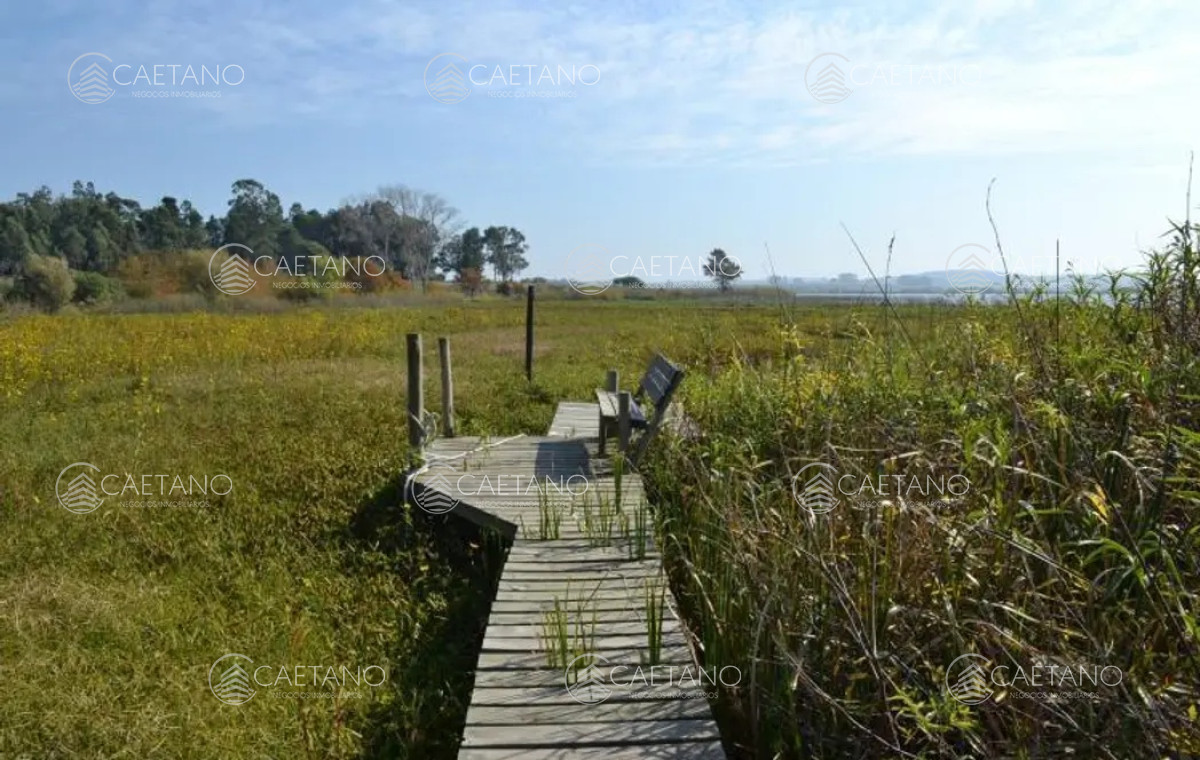 El Pejerrey - GoPunta - Portal Inmobiliario de Punta del Este - Maldonado