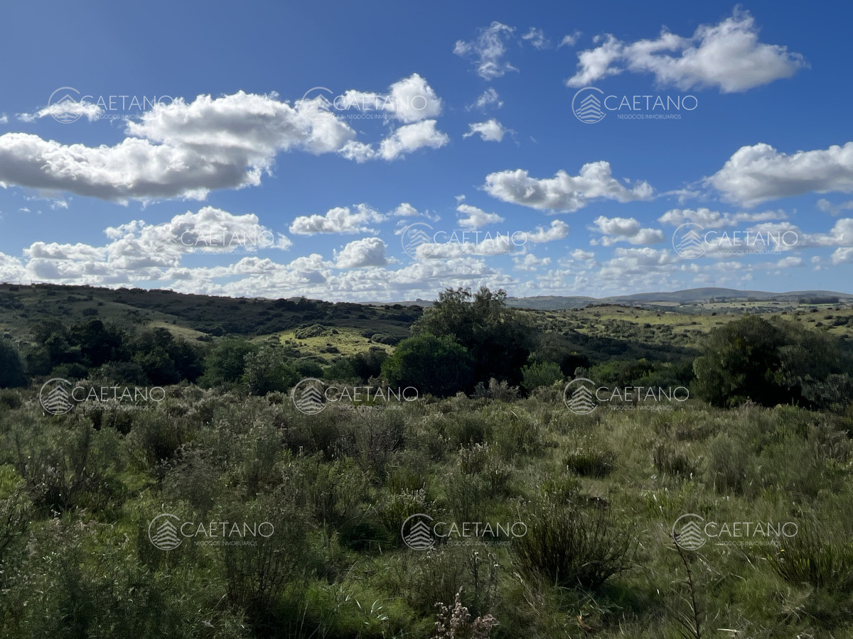 Pueblo Eden - GoPunta - Portal Inmobiliario de Punta del Este - Maldonado