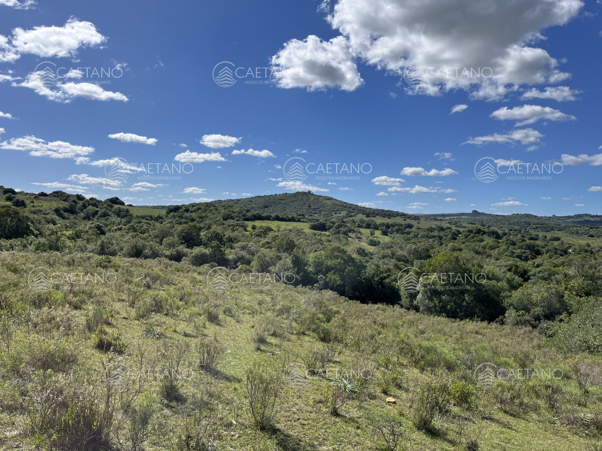 Pueblo Eden - GoPunta - Portal Inmobiliario de Punta del Este - Maldonado