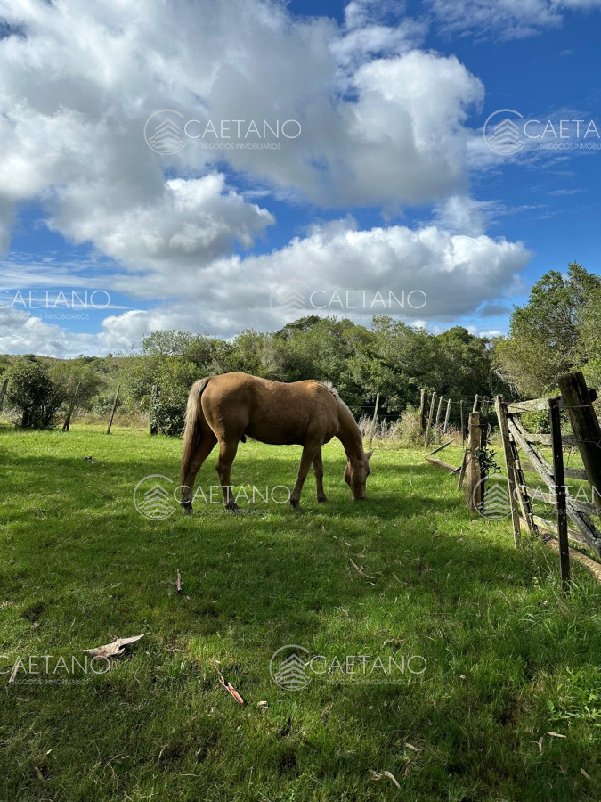 Venta Chacra Minas, Lavalleja - GoPunta - Portal Inmobiliario de Punta del Este - Maldonado