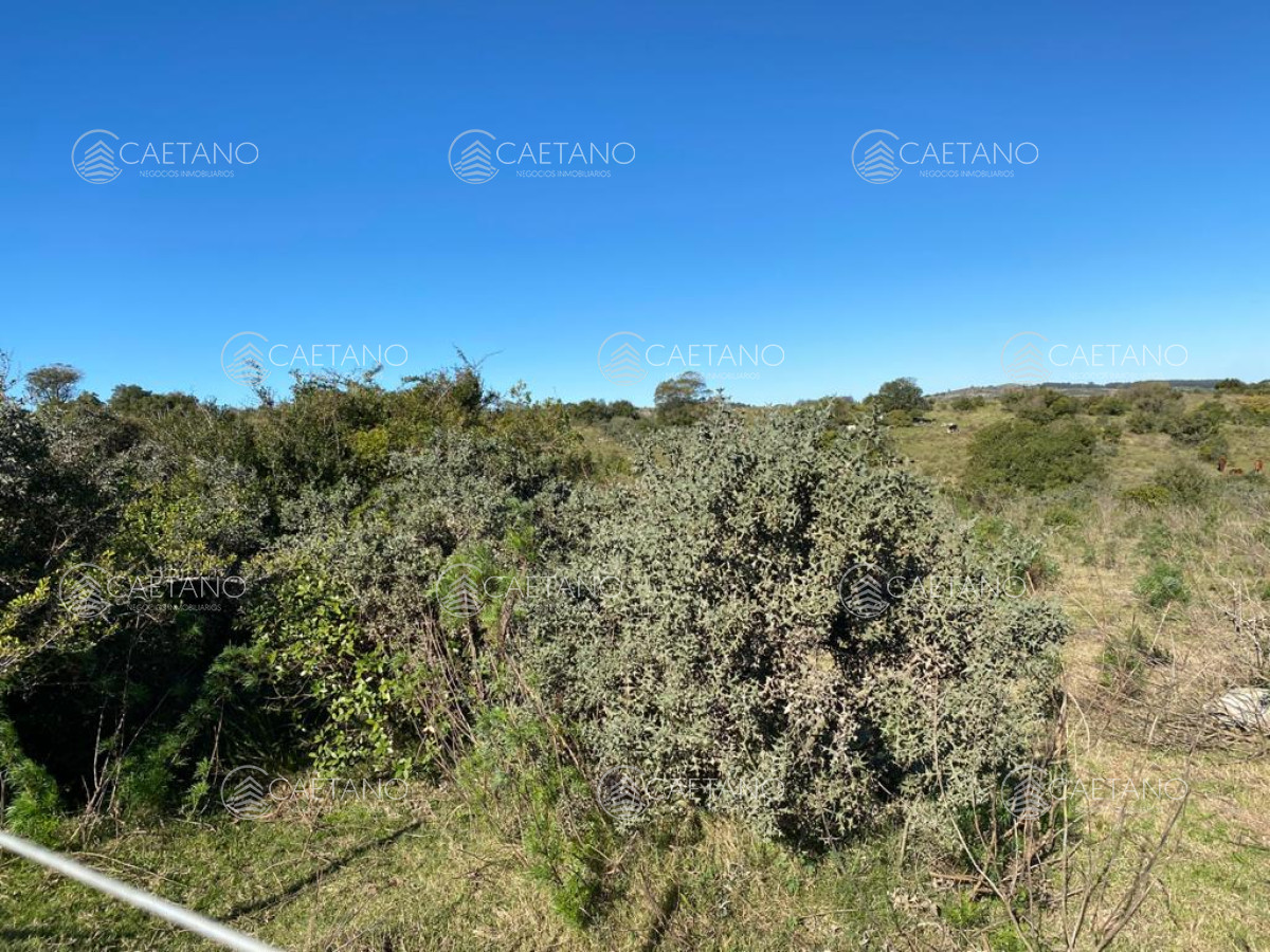 Zona Rural - GoPunta - Portal Inmobiliario de Punta del Este - Maldonado
