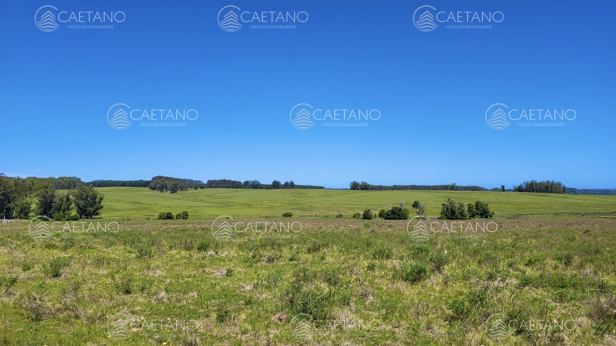 José Ignacio - GoPunta - Portal Inmobiliario de Punta del Este - Maldonado