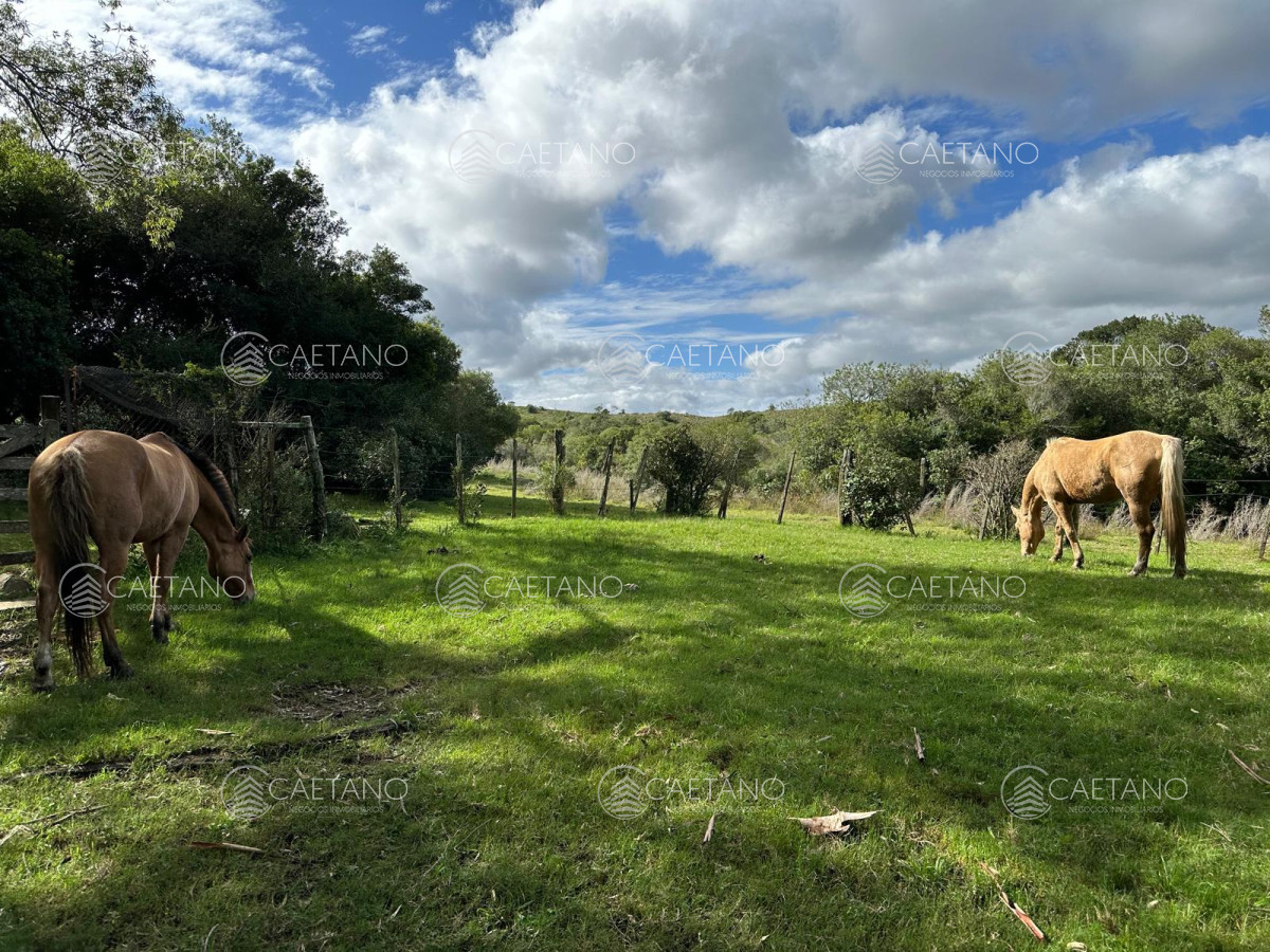Venta Chacra Minas, Lavalleja - GoPunta - Portal Inmobiliario de Punta del Este - Maldonado