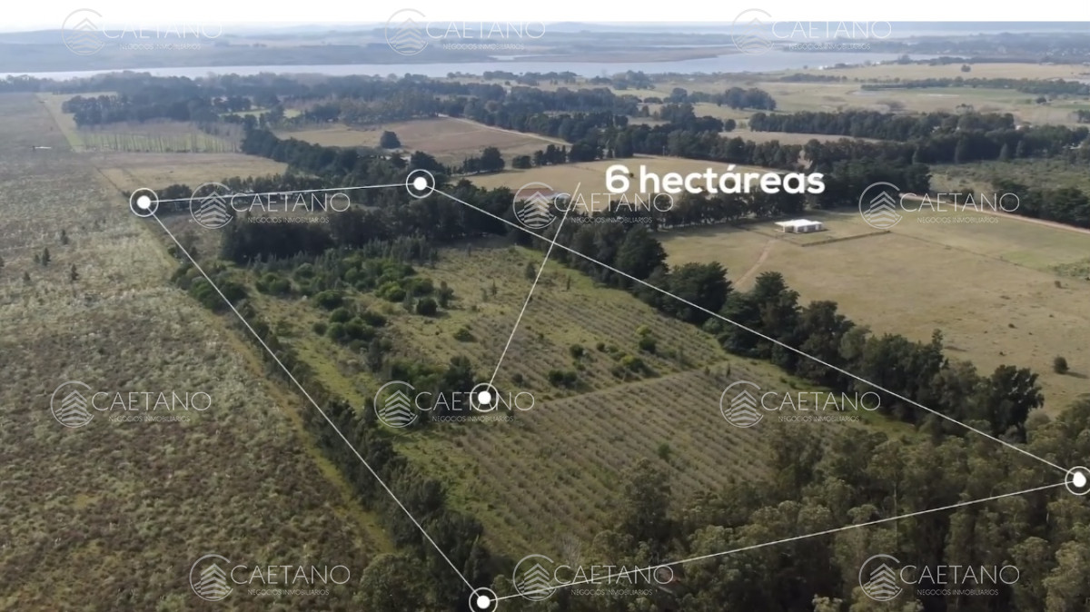 Pan de Azucar - GoPunta - Portal Inmobiliario de Punta del Este - Maldonado