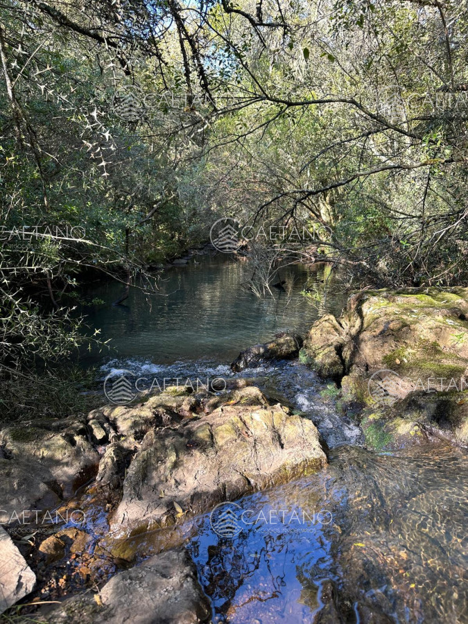 Venta Chacra Minas, Lavalleja - GoPunta - Portal Inmobiliario de Punta del Este - Maldonado