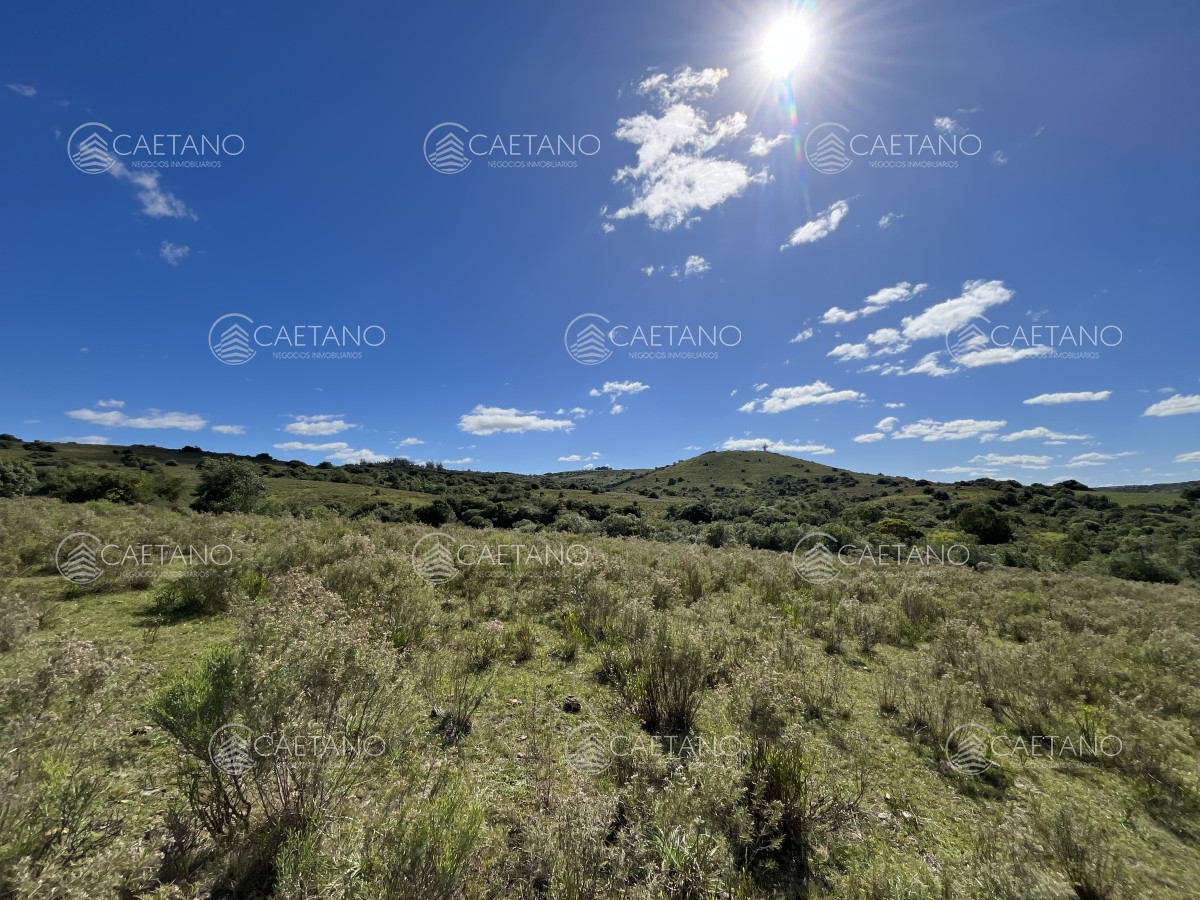 Pueblo Eden - GoPunta - Portal Inmobiliario de Punta del Este - Maldonado