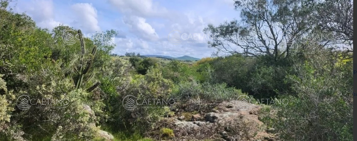 Pueblo Eden - GoPunta - Portal Inmobiliario de Punta del Este - Maldonado