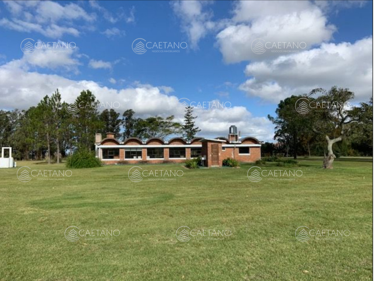 Venta chacra 13 hectáreas. José Ignacio. - GoPunta - Portal Inmobiliario de Punta del Este - Maldonado