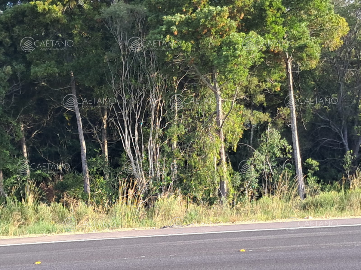 Garzon - GoPunta - Portal Inmobiliario de Punta del Este - Maldonado