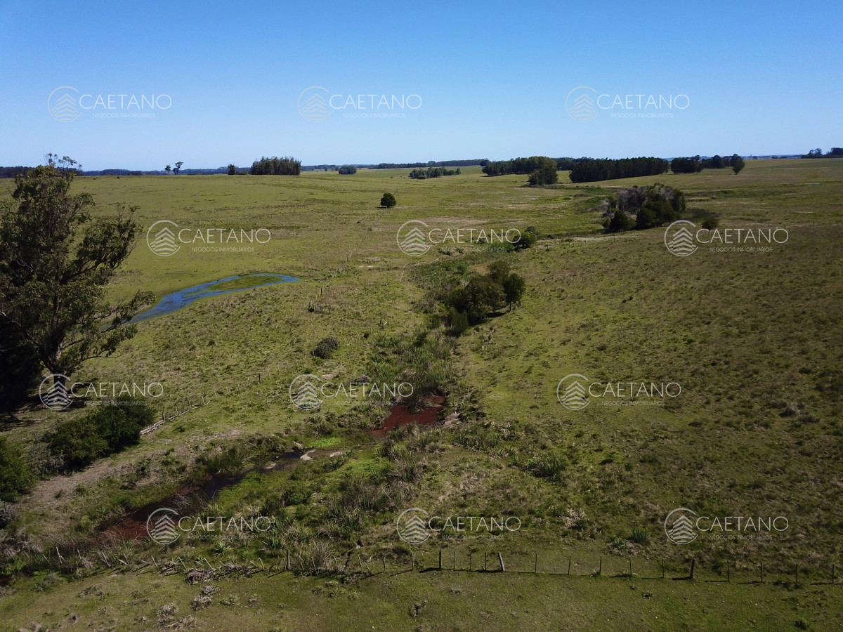 José Ignacio - GoPunta - Portal Inmobiliario de Punta del Este - Maldonado