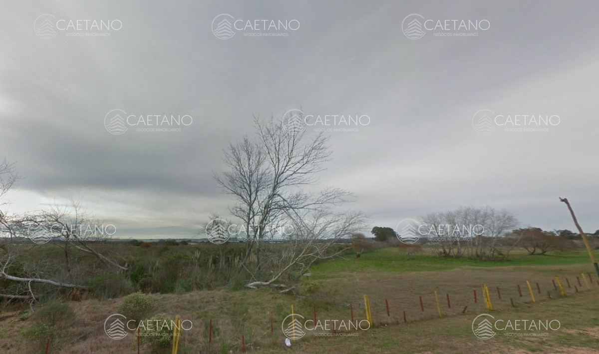 El Placer - GoPunta - Portal Inmobiliario de Punta del Este - Maldonado