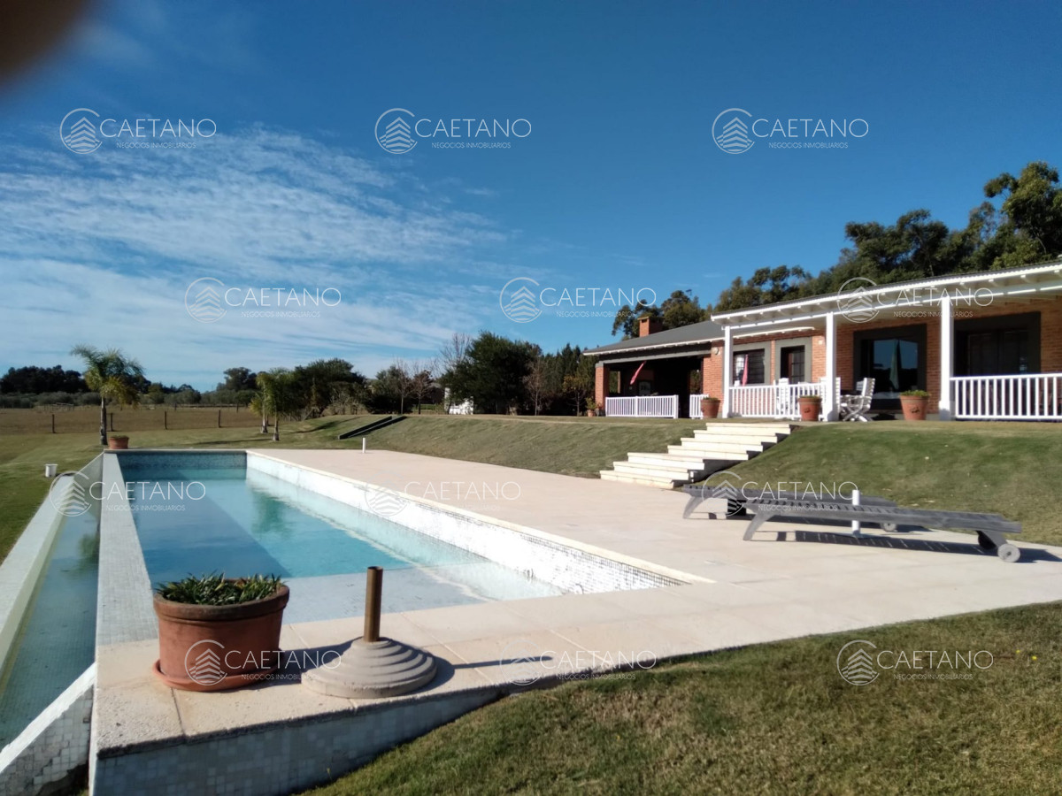 13685 32 - GoPunta - Portal Inmobiliario de Punta del Este - Maldonado