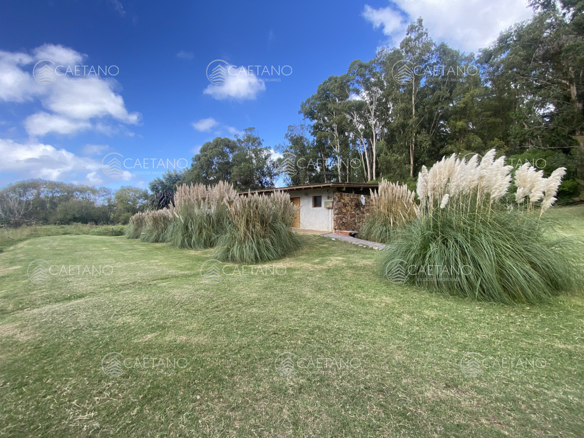 Medellin - GoPunta - Portal Inmobiliario de Punta del Este - Maldonado