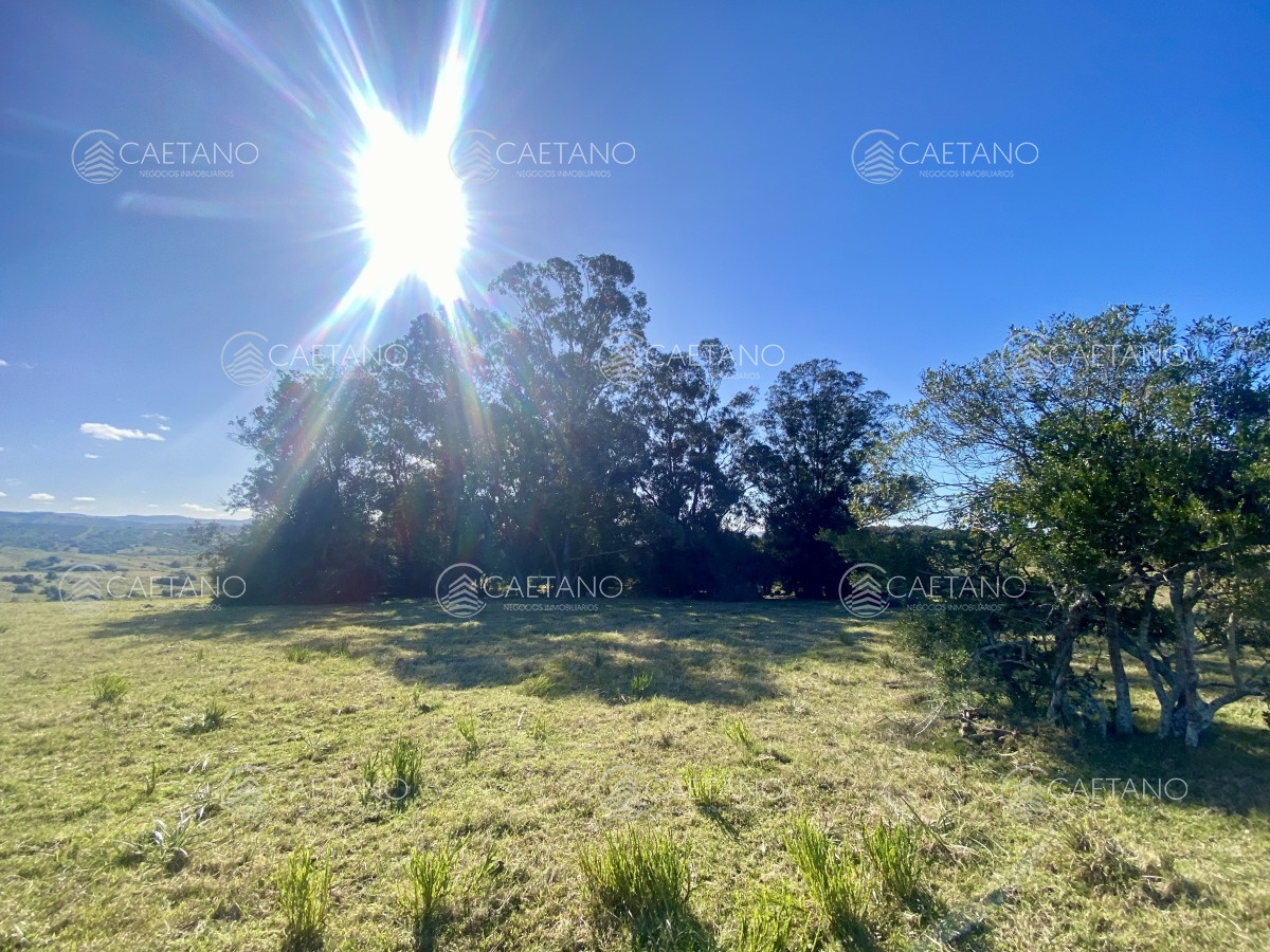 Pueblo Eden - GoPunta - Portal Inmobiliario de Punta del Este - Maldonado