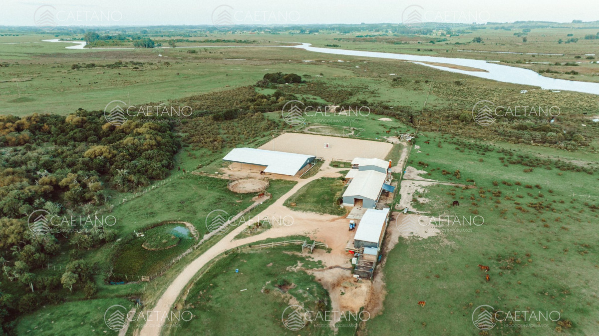 Ruta 39 - GoPunta - Portal Inmobiliario de Punta del Este - Maldonado