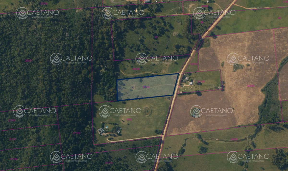 La Pataia - GoPunta - Portal Inmobiliario de Punta del Este - Maldonado