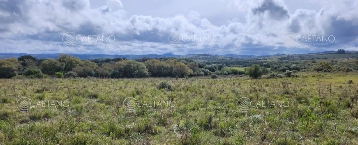 Pueblo Eden - GoPunta - Portal Inmobiliario de Punta del Este - Maldonado