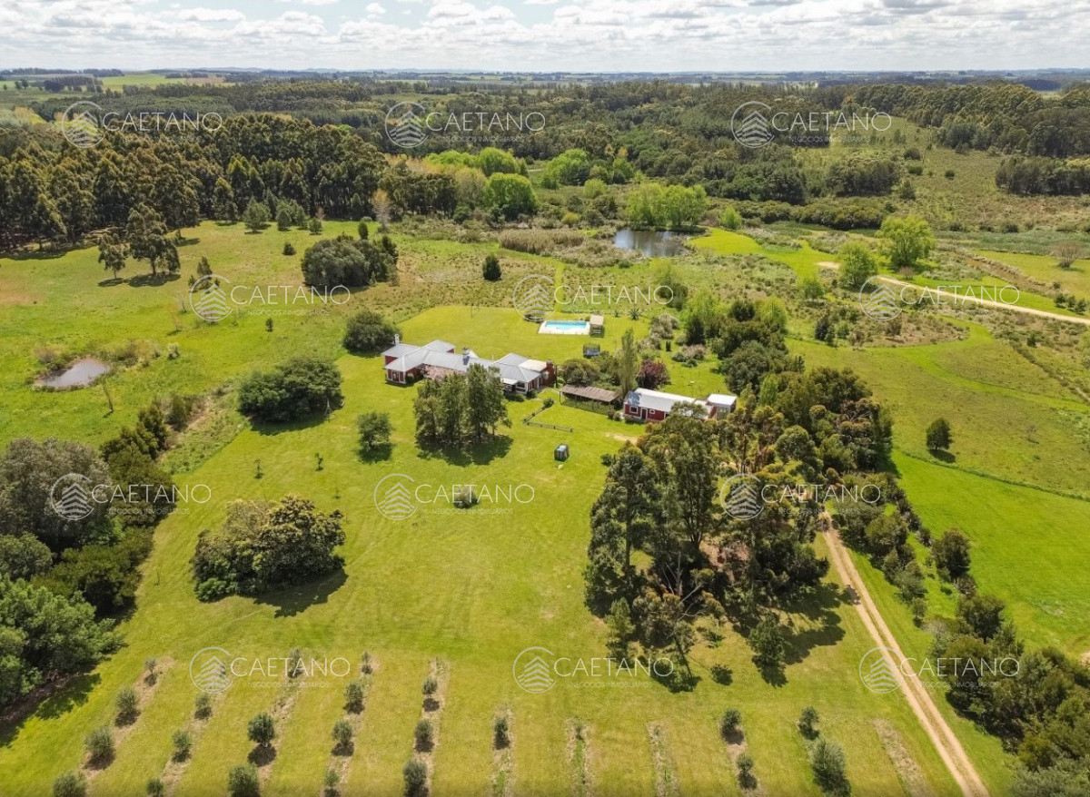 Manantiales - GoPunta - Portal Inmobiliario de Punta del Este - Maldonado