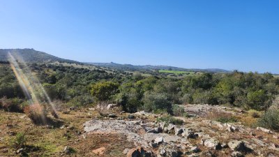 Venta chacra 4 hectáreas. Pueblo Edén, Maldonado. 
