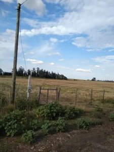 Chacra en Lavalleja 