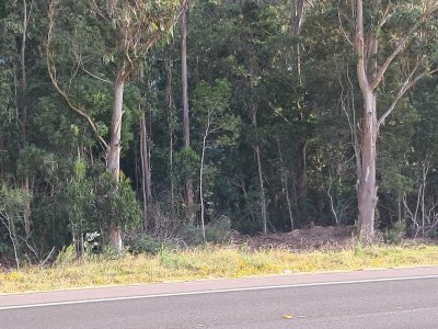 Venta Chacra Ruta 9