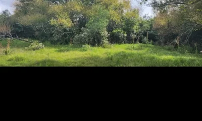 venta chacra ruta 12 Maldonado