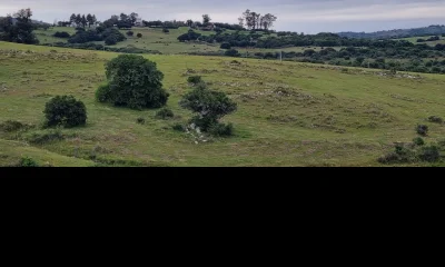 Venta espectaculares chacras, ruta 12.