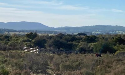 Venta chacra 5 hectáreas Pan de Azucar