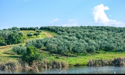 Venta chacra 5 hectáreas. Garzón, Maldonado. Financiación propia