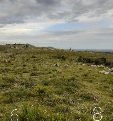 venta chacra 5 hectáreas en las sierras de Maldonado