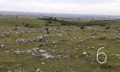 Venta chacras 8 hectáreas cerro corte de la leña Maldonado