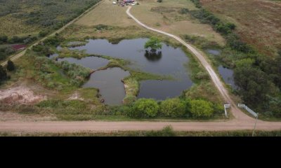 Venta chacra 6 hectareas. Pan de Azucar, Maldonado