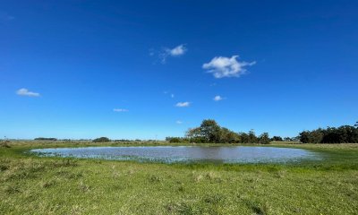 Chacra en venta José Ignacio