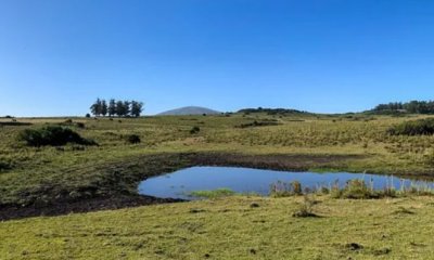 Chacra 5 hectáreas ruta interbancaria Maldonado