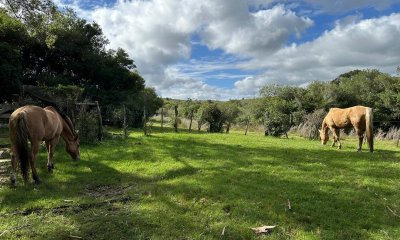 Venta Chacra Minas, Lavalleja