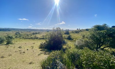 Venta chacra 5 hectáreas. Camino del Olivo, Pueblo Edén.