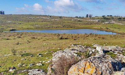 Vendo chacras en Ruta 9, entre ruta 12 y Pan de Azucar, Maldonado. FINANCIO.