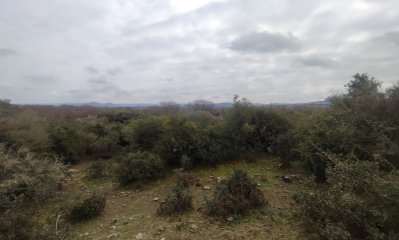 venta chacra 5 hectáreas ruta 12 Maldonado
