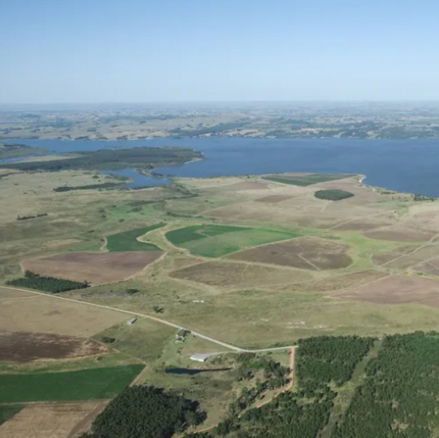 Venta Chacra con costa a Laguna del Sauce