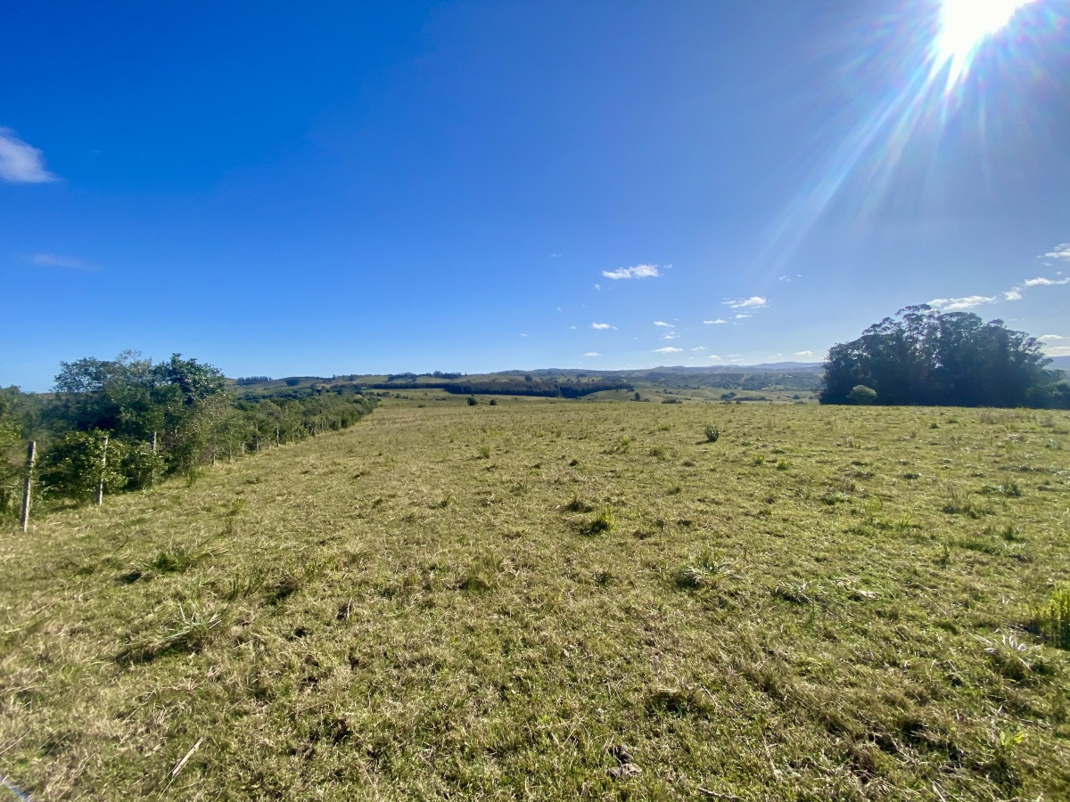 Venta chacra 5 hectáreas. Pueblo Edén, Maldonado. 
