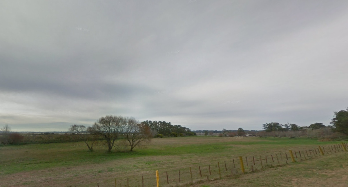Venta chacra en Punta del Este