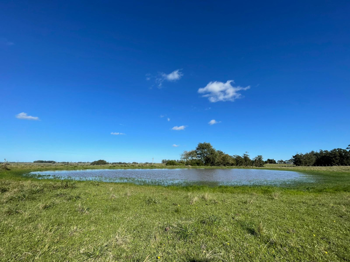 Venta Chacra en venta José Ignacio 