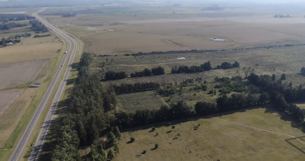 VENTA CHACRA 6 HA. LAGUNA DE PAN DE AZUCAR