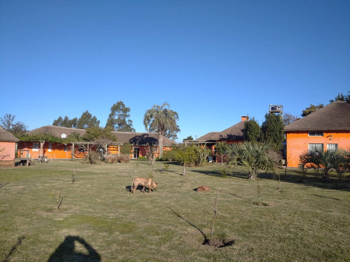 Venta chacra