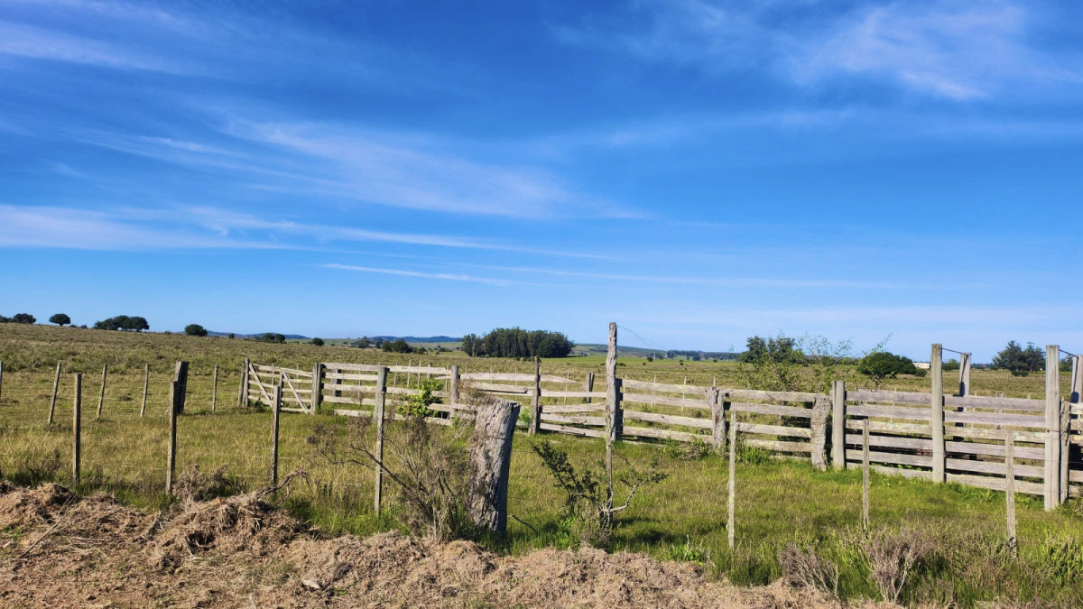 Venta chacras linderas 4has Pueblo Edén