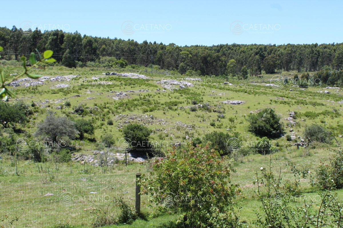 FracciÃ³n de campo a metros de ruta 12 - GoPunta - Portal Inmobiliario de Punta del Este - Maldonado